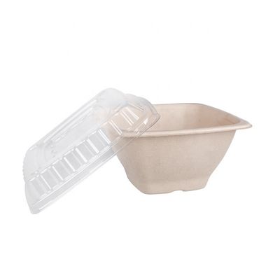 16 24 32 oz Biodegradowalna trzcina cukrowa Bagasse Pudełka pojemniki do sałatek owocowych Pudełka z okładką