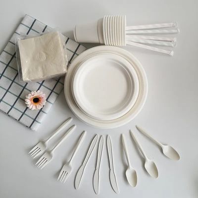 Eco Sustainable Compostable Disposable Plates Cutlery Disposable Take Out Food Containers