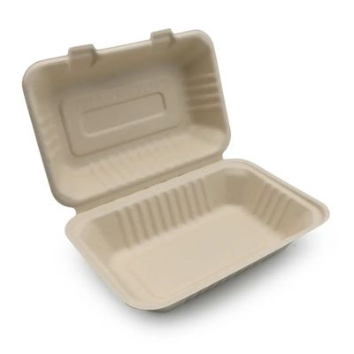600 ml 1000 ml naczynia do obiadu kompostowalne naczynia stołowe na imprezy bagaż pulp lunch Bento Box