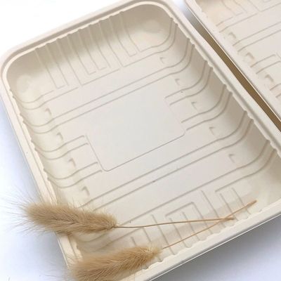 Biodegradowalna zamykana tacka na żywność z mączki kukurydzianej na mięso, do żywności mrożonej 150mm