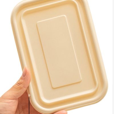 Jednorazowe kompostowalne pudełko na lunch z mączki kukurydzianej o pojemności 500-600 ml, opakowanie na szybkie jedzenie