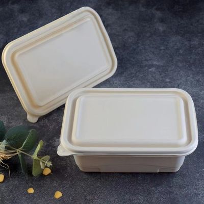 Jednorazowe kompostowalne pudełko na lunch z mączki kukurydzianej o pojemności 500-600 ml, opakowanie na szybkie jedzenie