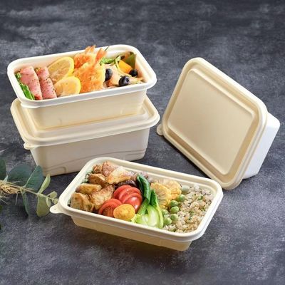 Jednorazowe kompostowalne pudełko na lunch z mączki kukurydzianej o pojemności 500-600 ml, opakowanie na szybkie jedzenie